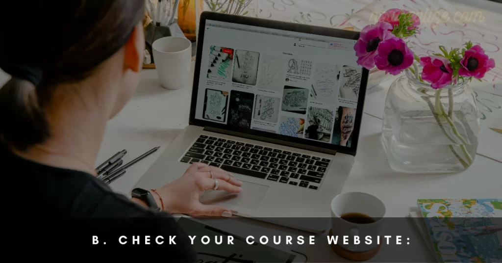  Check Your Course Website: