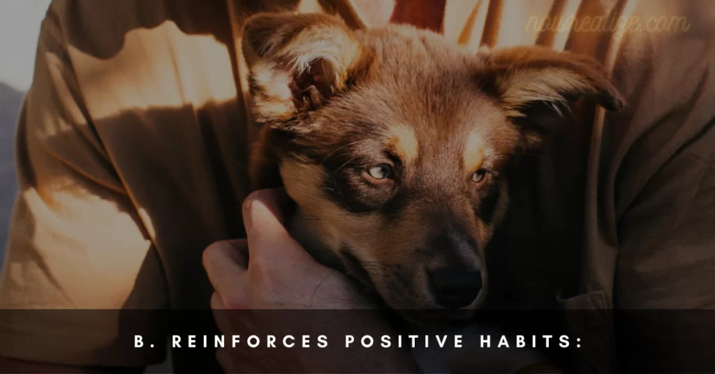 Reinforces Positive Habits
